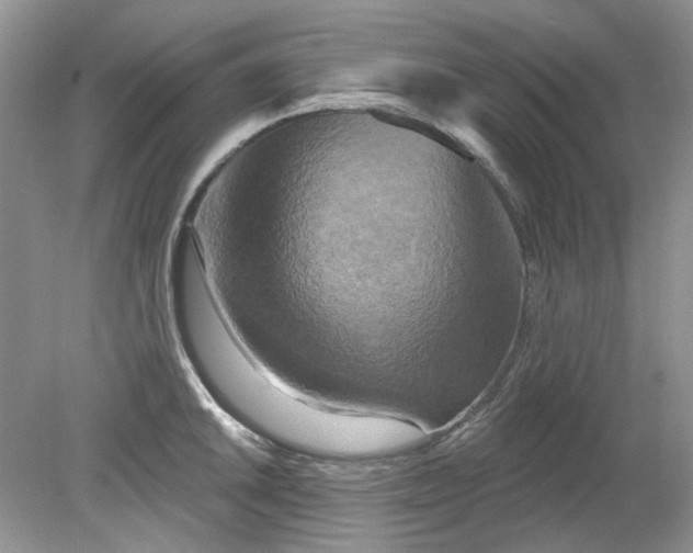 X0000079331046200612011903