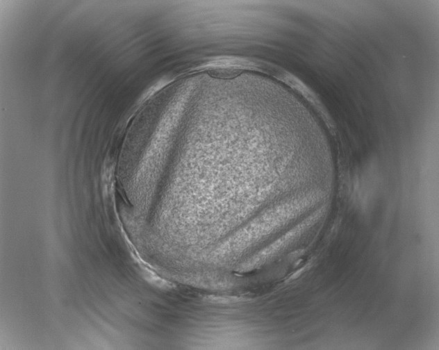 X0000079331049200612011903