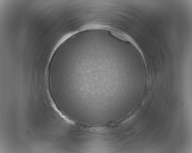 X0000079331053200612011903