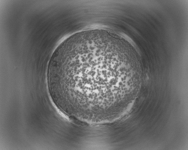X0000079331055200612011903