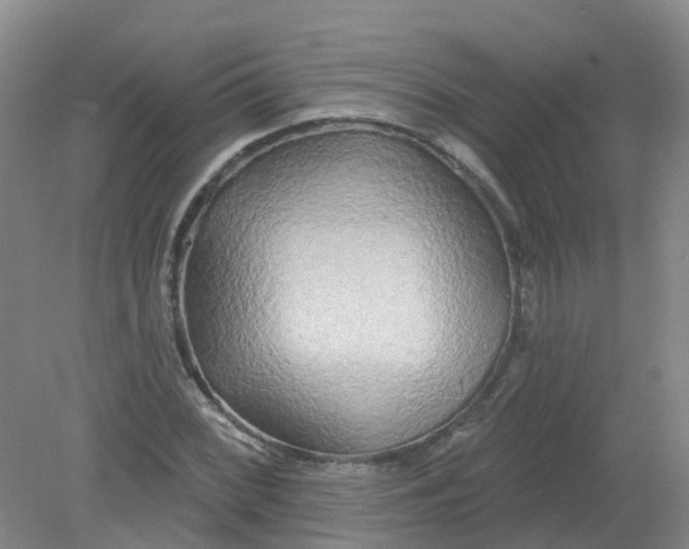 X0000079331068200612011902