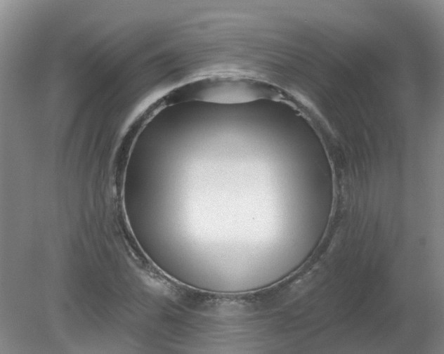 X0000079331070200612011902