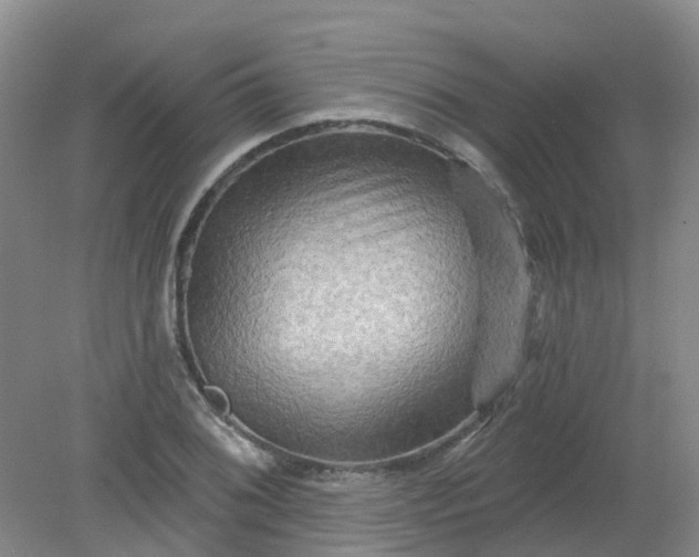 X0000079331076200612011902