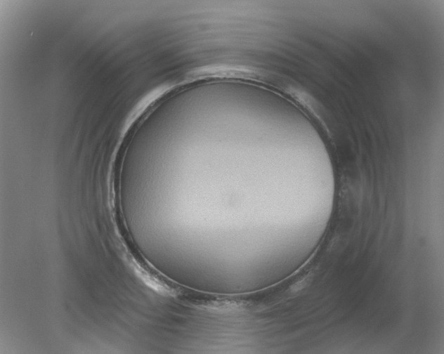 X0000079331082200612011902