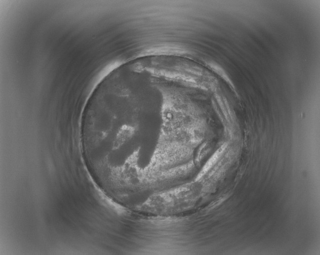 X0000079331087200612011902