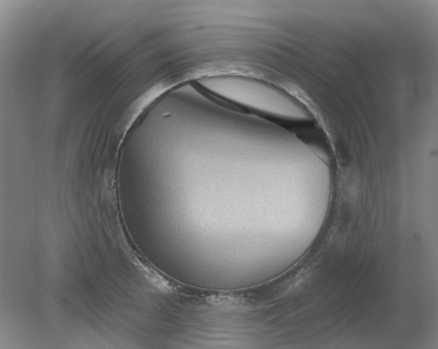 X0000079331089200612011901