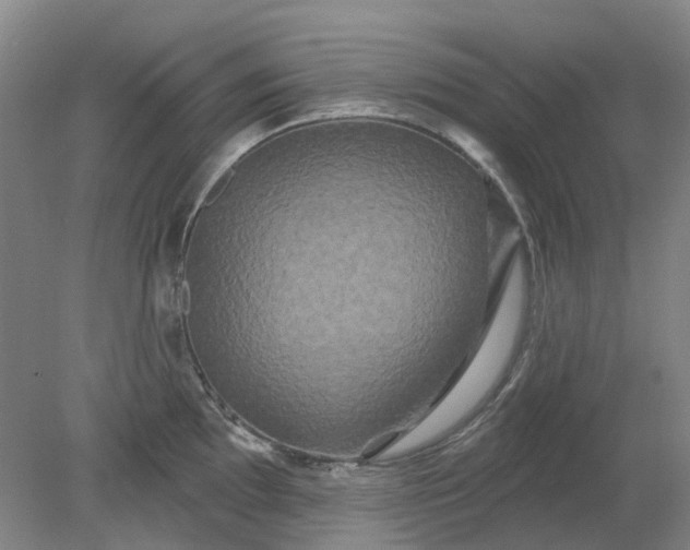X0000079331097200612011901