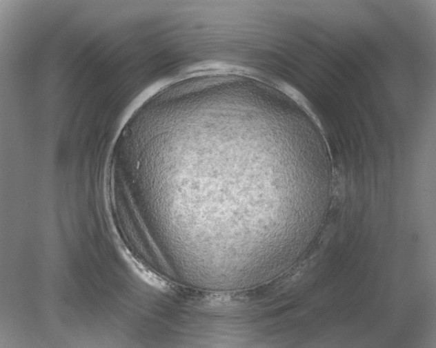 X0000079331098200612011901