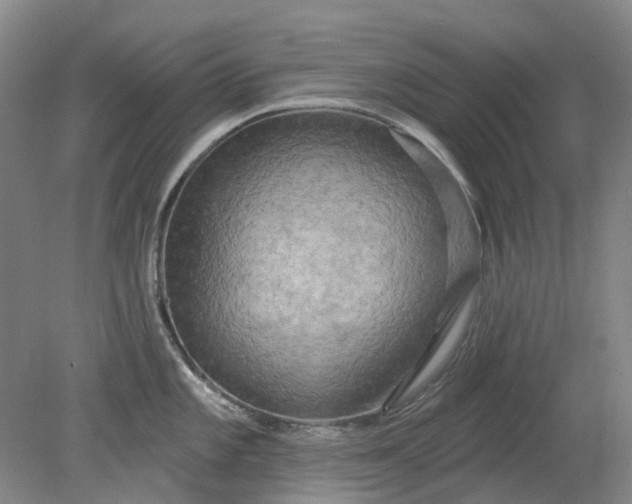 X0000079331101200612011901