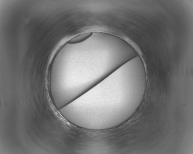 X0000079331104200612011901