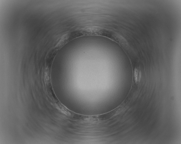 X0000079331107200612011900