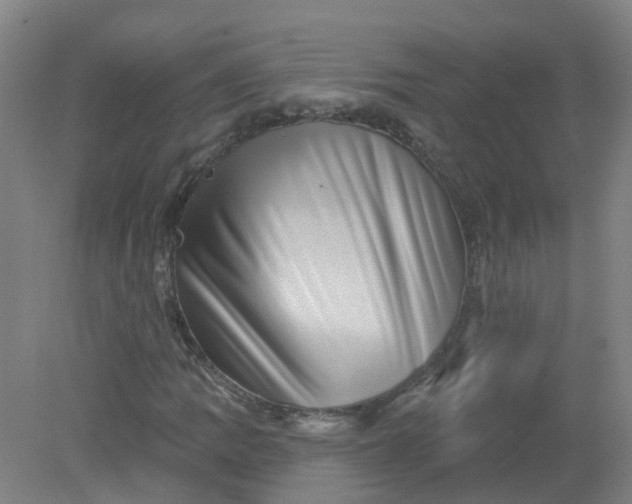X0000079331109200612011900