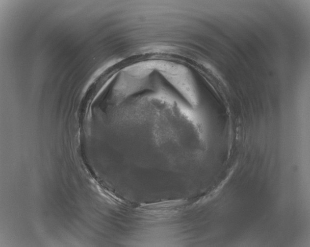 X0000079331117200612011901