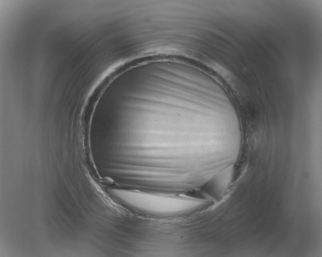 X0000079331118200612011901
