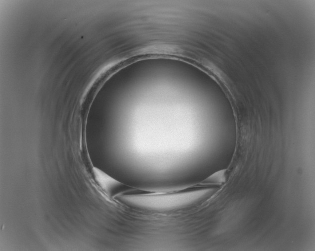 X0000079331123200612011901