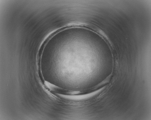 X0000079331124200612011901