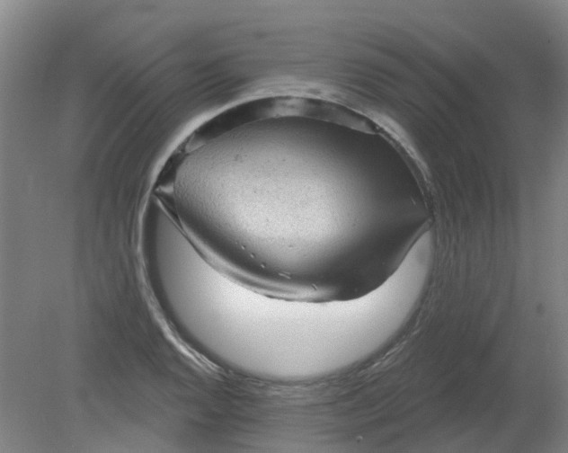 X0000079331128200612011901