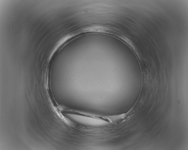 X0000079331131200612011901