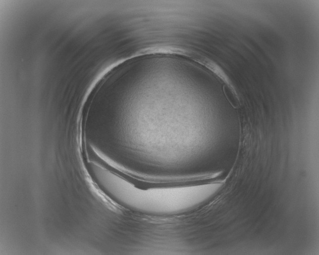 X0000079331132200612011901