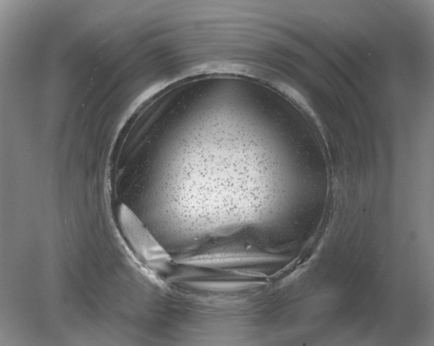 X0000079331133200612011901