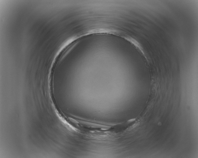 X0000079331135200612011901