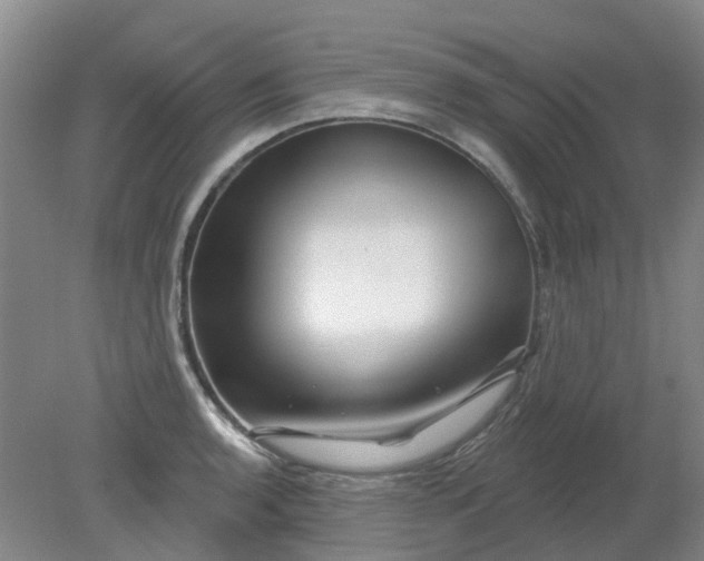 X0000079331136200612011901
