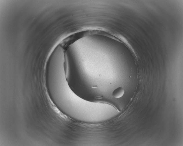 X0000079331140200612011901
