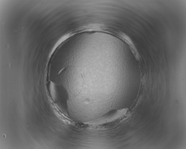 X0000079331146200612011901