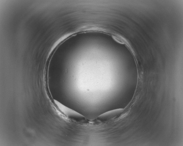 X0000079331149200612011901