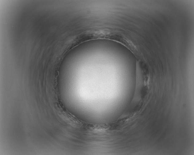 X0000079331153200612011900