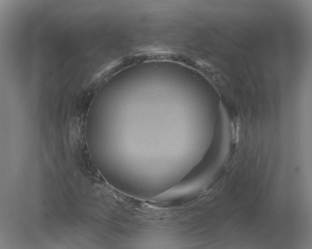 X0000079331157200612011900