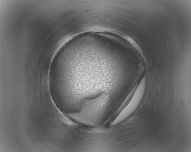 X0000079331183200612011900