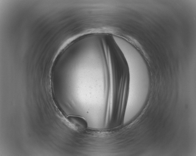 X0000079331184200612011900