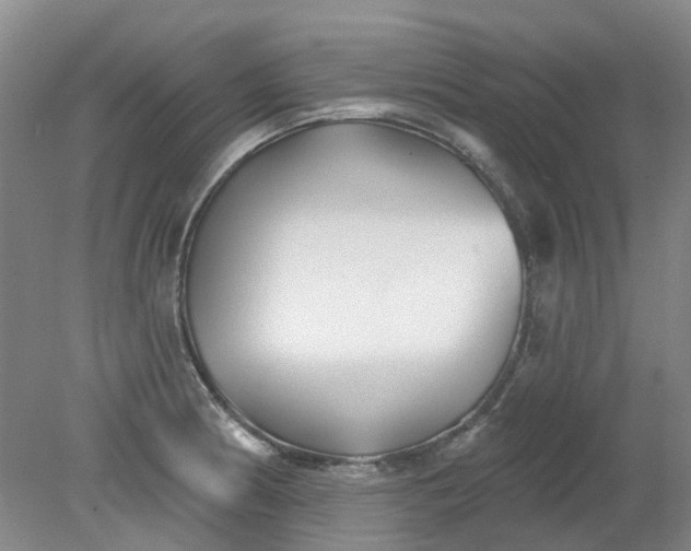 X0000079331186200612011900