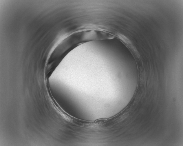 X0000079331188200612011900