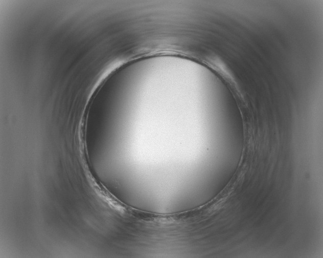 X0000079331190200612011900