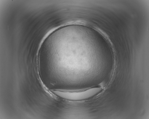 X0000079331200200612011900