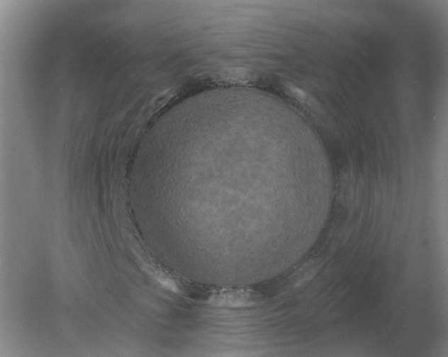 X0000079331201200612011859