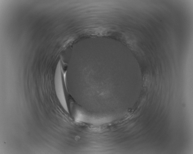 X0000079331202200612011859