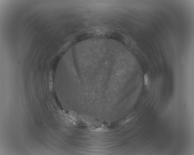 X0000079331203200612011859