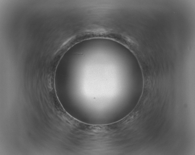 X0000079331205200612011859
