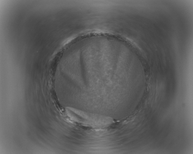 X0000079331207200612011859