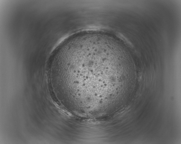X0000079331208200612011859