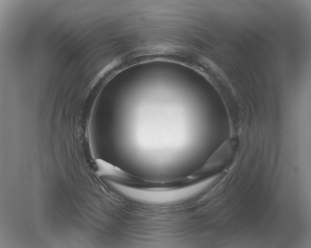 X0000079331210200612011859