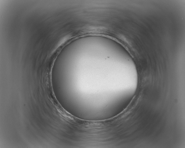 X0000079331211200612011859