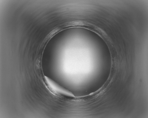 X0000079331225200612011859