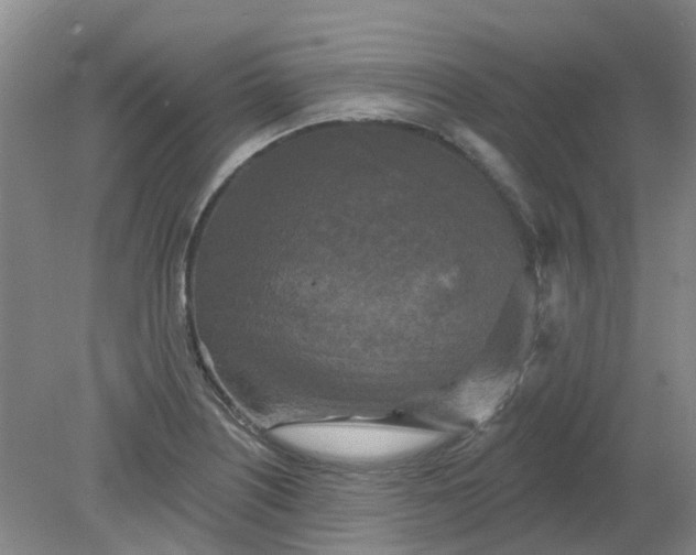 X0000079331226200612011859