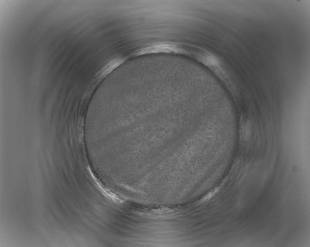 X0000079331233200612011859