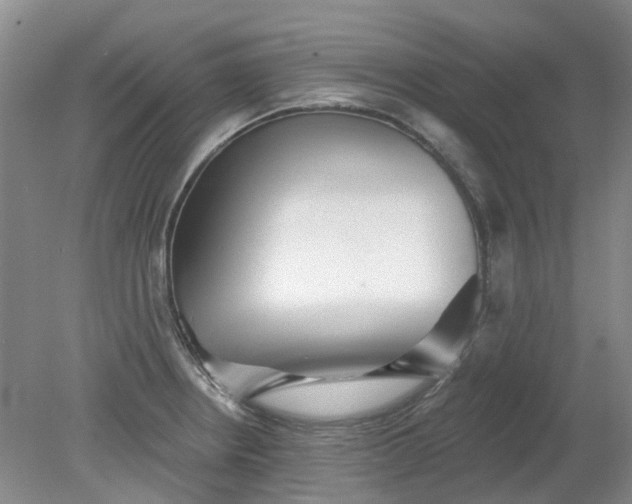 X0000079331234200612011859