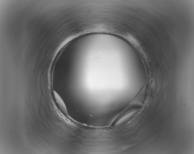 X0000079331238200612011859